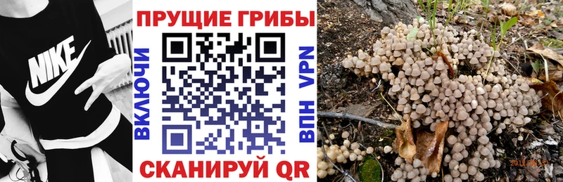 Галлюциногенные грибы Magic Shrooms  Нарткала 